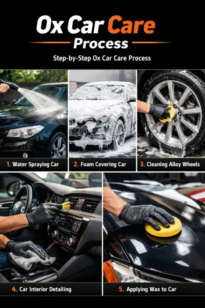 Step By Step Ox Car Care Processer
